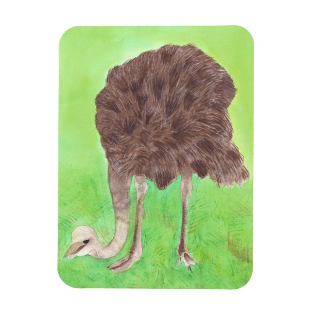 Íman Ostrich Eating, Watercolor Painting Magnets (Vertical)