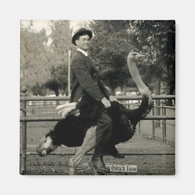 Íman Ostrich Riding 1910 (Frente)
