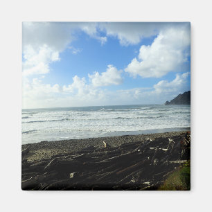 Íman Oswald West State Park, Costa do Oregon