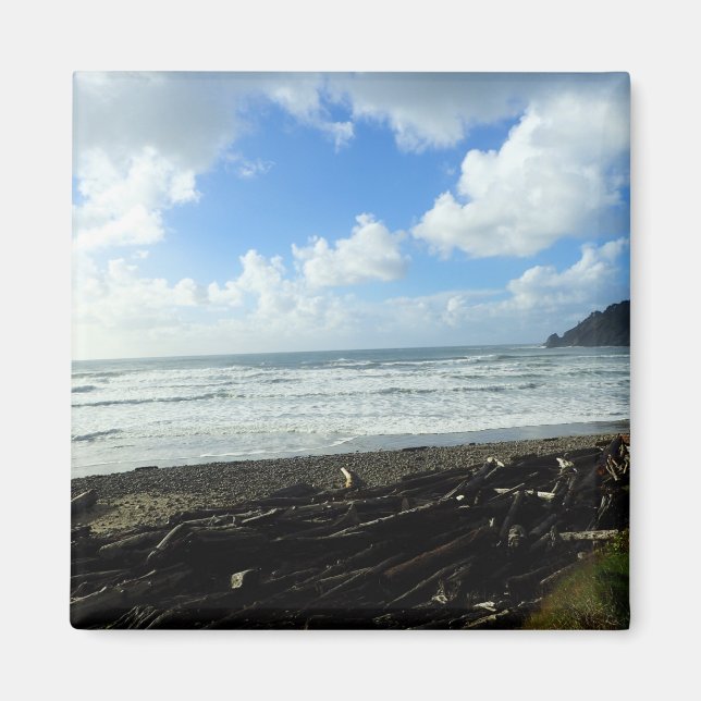 Íman Oswald West State Park, Costa do Oregon (Frente)