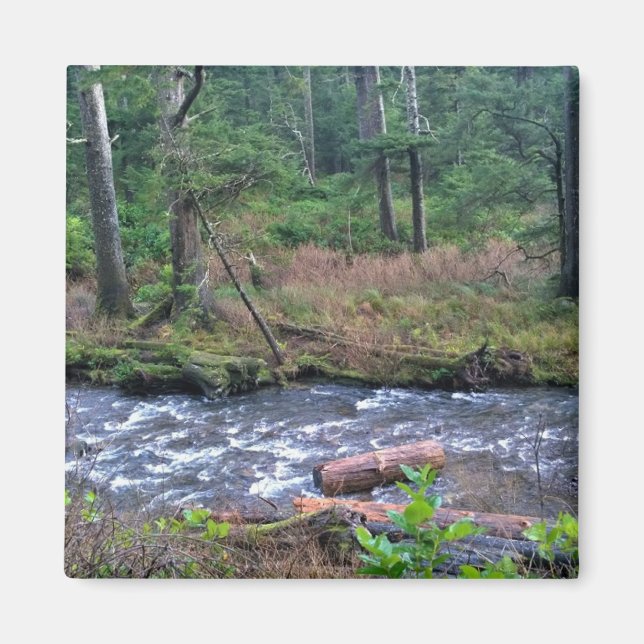 Íman Oswald West State Park, Costa do Oregon (Frente)