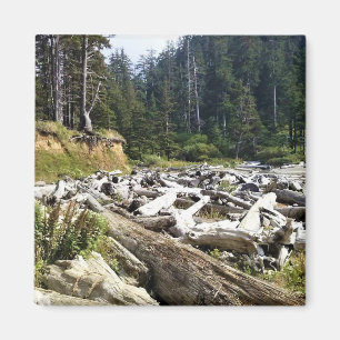 Íman Oswald West State Park, Costa do Oregon