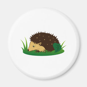 Íman Ouriço hedgehog