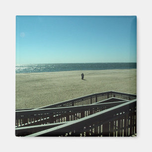 Íman ouriços-do-mar
