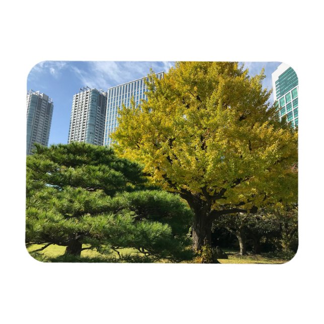 Íman Ouro Amarelo Ginkgo e Pine Tree (Horizontal)