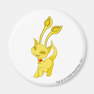 Íman Ouro de Aisha