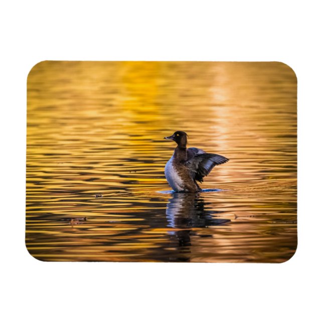 Íman Ouro de um lago ouro (Horizontal)