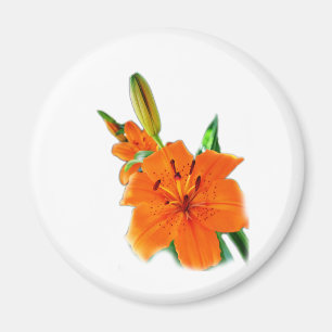 Íman Ouro Lily