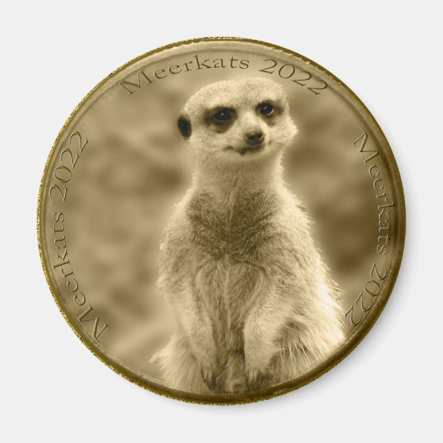 Íman Ouro Meerkat 2022 Moeda, Magneta redonda (Frente)