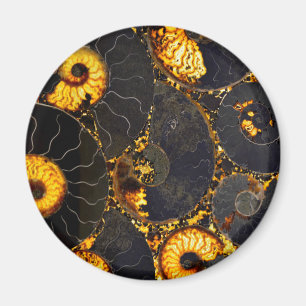 Íman Ouro Nautilus