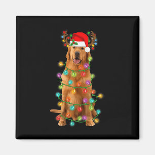 Íman Ouro Retriever Árvore de Natal Luz Pajama