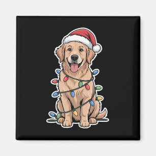 Íman Ouro Retriever Embalado Em Luzes De Natal