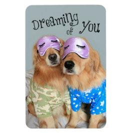 Íman Ouro Retriever Sonhando com você