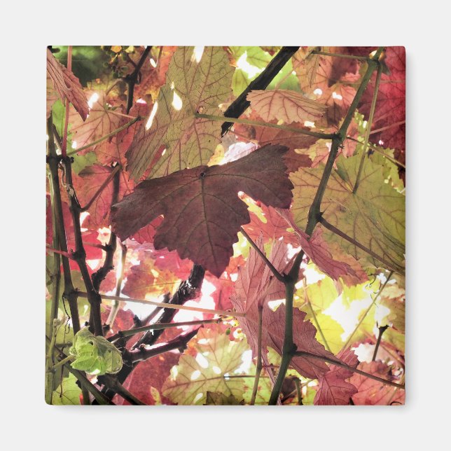 ÍMAN OUTONO (Frente)