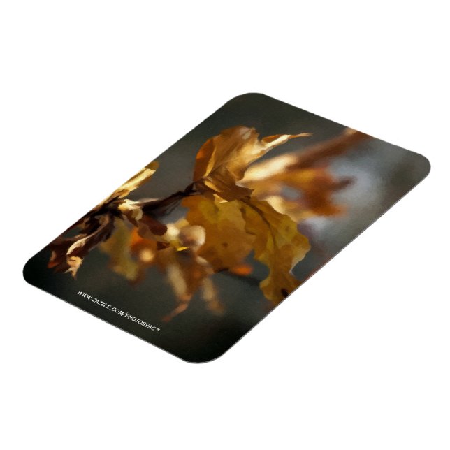 Íman Outono (Left Side)