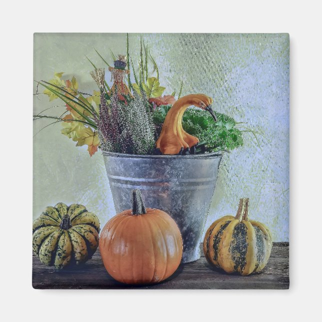 Íman Outono ainda vive com abóboras, flores (Frente)