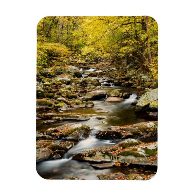 Íman Outono em Big Creek (Vertical)