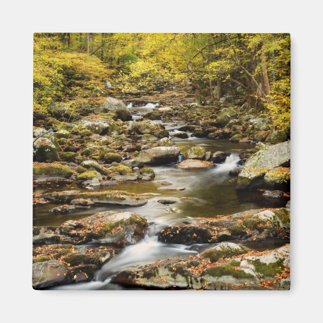 Íman Outono em Big Creek (Frente)