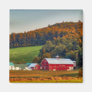 Íman outono em New Hampshire