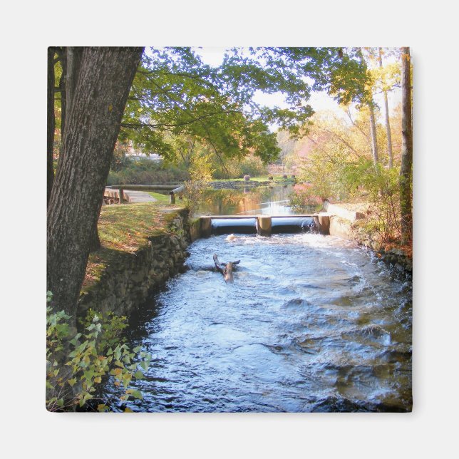 Íman Outono em Nova Inglaterra (Frente)