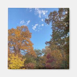 Íman Outono em Nova Inglaterra