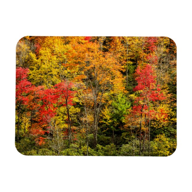Íman Outono em Sims Pond North Carolina, Blue Ridge (Horizontal)