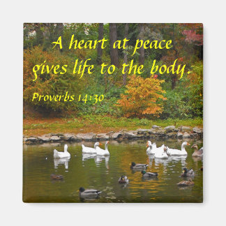 Íman Outono no Pock Pond