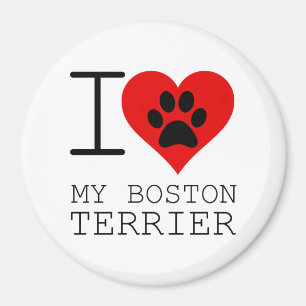 ÍMAN OUVI MEU TERRIER BOSTON