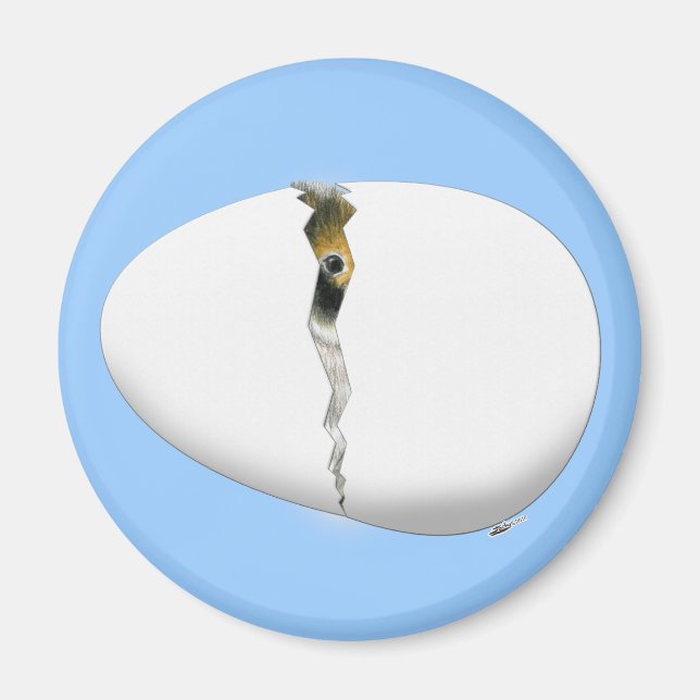 Íman Ovo de Incubação (Frente)