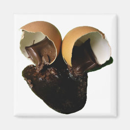 Íman Ovos de chocolate novidade