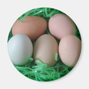 Íman Ovos de frango
