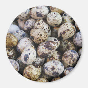 Íman Ovos de Quail