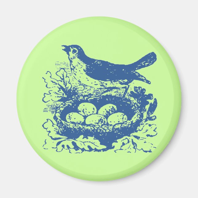 Íman Ovos e ninho de aves da Vintage (Frente)