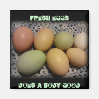 Íman Ovos Faz Um Corpo Bons Magnetos