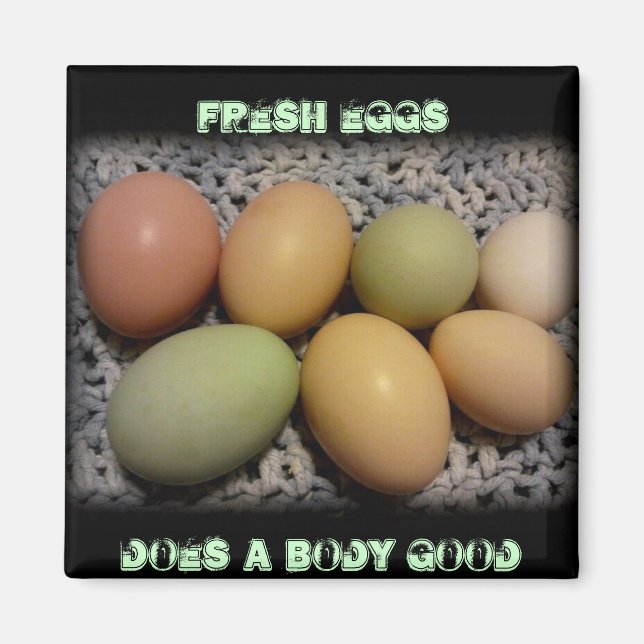 Íman Ovos Faz Um Corpo Bons Magnetos (Frente)