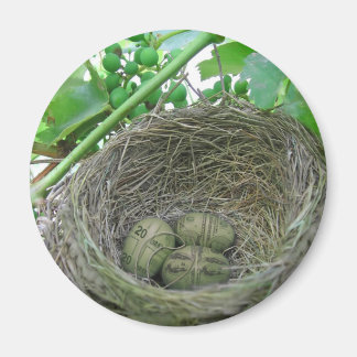Íman Ovos Money Nest