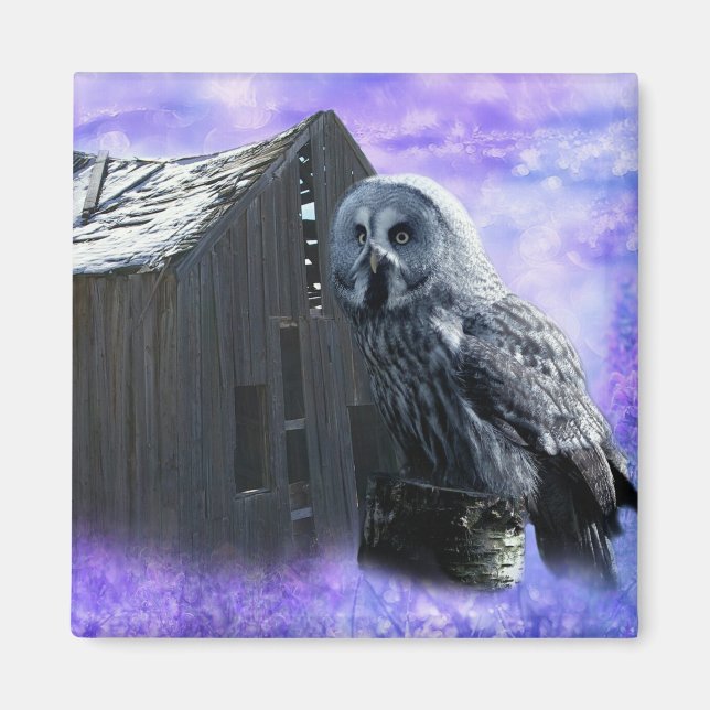 Íman Owl Barn Shed (Frente)