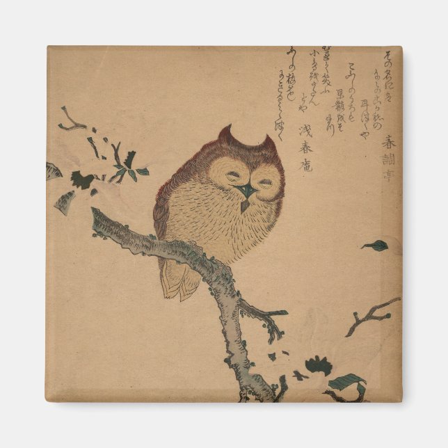 Íman Owl & Magnolia: Imagem Japonesa Ukiyo-e (Frente)