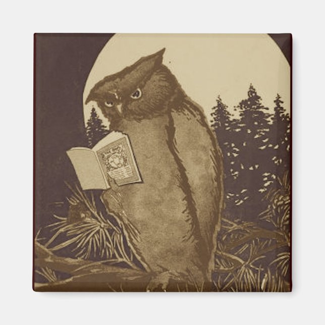 Íman Owl Reading por Moonlight (Frente)