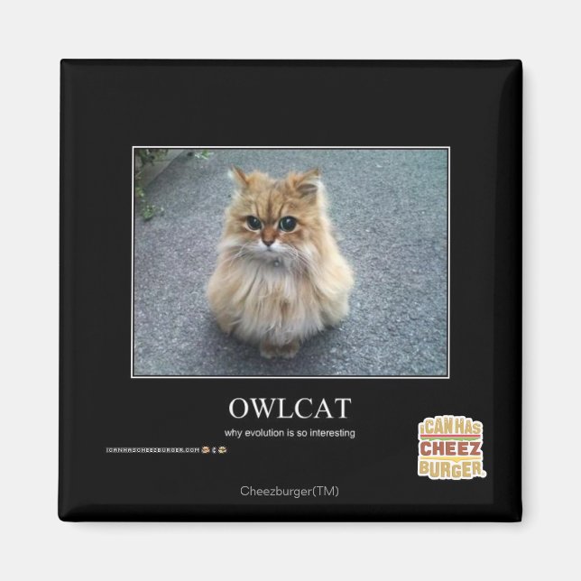 Íman Owlcat (Frente)
