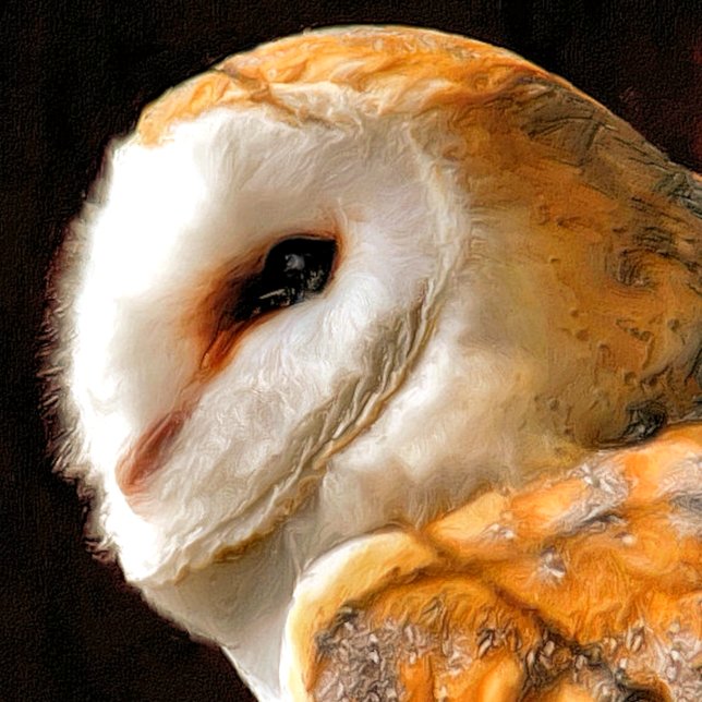 ÍMAN  OWLS (A beautiful soft artistic watercolor of a Barn Owl.)