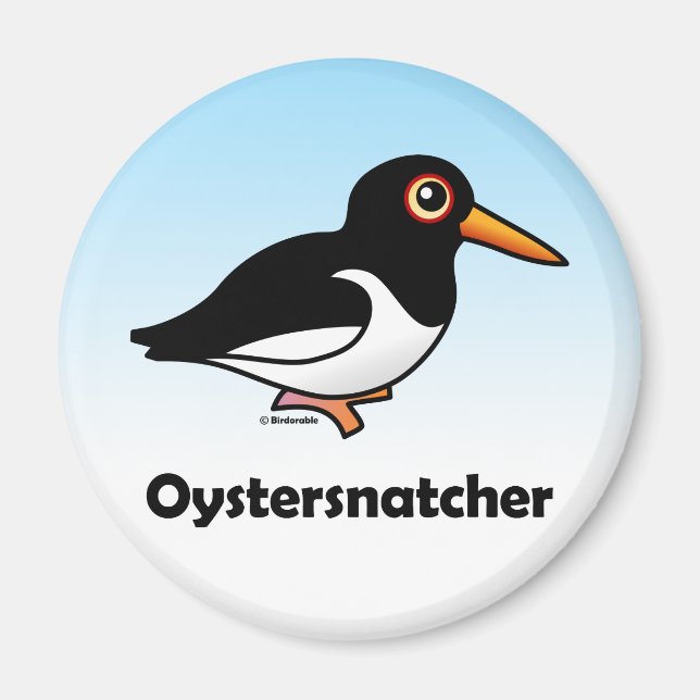 Íman Oystersnatcher (Frente)