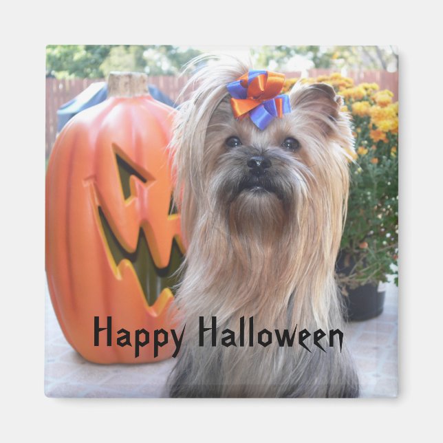 Íman P1080884, Feliz Dia das Bruxas (Frente)