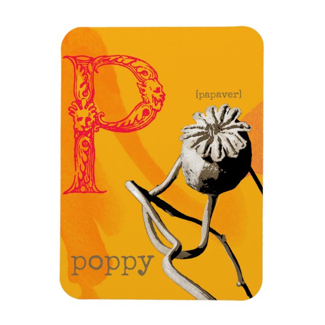 Íman P é para Poppy (Vertical)