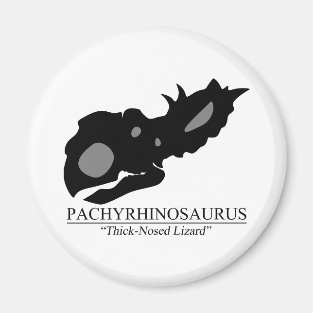 Íman Pachyrhinosaurus crânio (Frente)