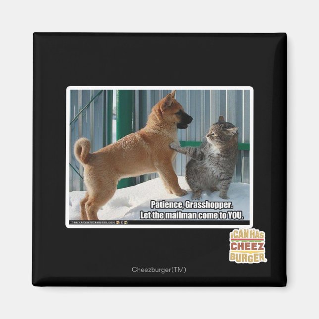 Íman Paciência, Gafanhoto. (Frente)