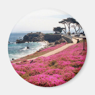 Íman Pacific Grove-Monterey Calif