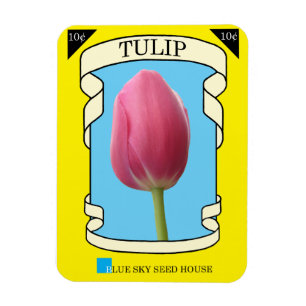 Íman Pacote da semente da tulipa
