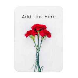 Íman Pacote de Flores Vermelhas do Craveiro