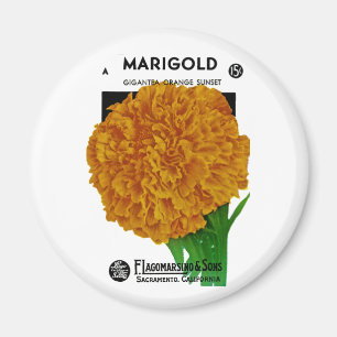 Íman Pacote de Semente da Marigold Vintage